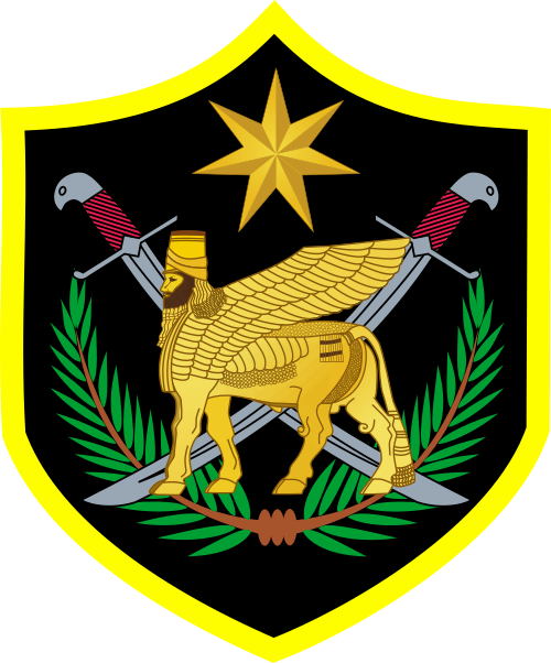 Multinational Force Iraq